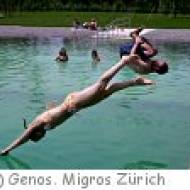 Naturpool Milandia in Greifensee Naturpool Milandia in Greifensee