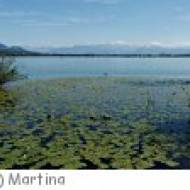 Rundgang um den Pfäffikersee Rundgang um den Pfäffikersee