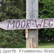 Barfussrundgang übers Hochmoor auf der Wolzenalp Barfussrundgang übers Hochmoor auf der Wolzenalp