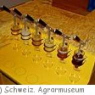Bienenerlebnis im Museum Burgrain Bienenerlebnis im Museum Burgrain