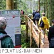 DrachenMoor Naturerlebnis Krienseregg