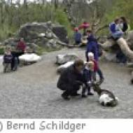 Kinderzoo im Tierpark Bern