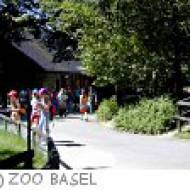Kindergeburtstag im Zoo Basel