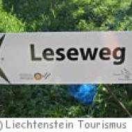 Leseweg