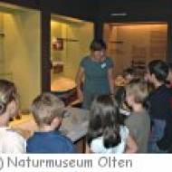 Naturmuseum Olten Naturmuseum Olten
