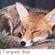 Tierpark Biel