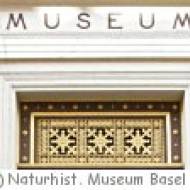 Naturhistorisches Museum Basel Naturhistorisches Museum Basel