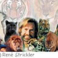 Rene Strickler Raubtierpark Rene Strickler Raubtierpark