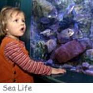 Sea Life Konstanz ü Sea Life Konstanz