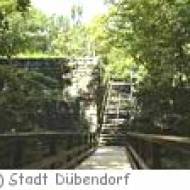 Burgruine Dübelstein bei Dübendorf Burgruine Dübelstein bei Dübendorf