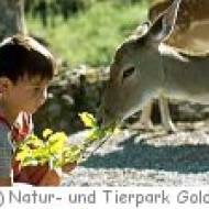 Natur- und Tierpark Goldau