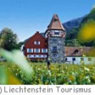 Wanderung Auf dem Fürstenweg von Schaan nach Vaduz