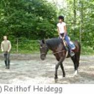 Reithof Heidegg in Niederstocken