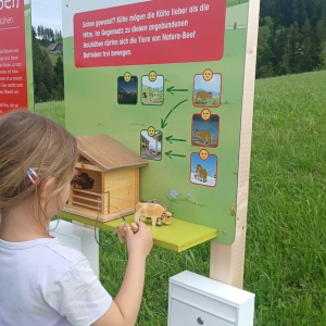 (c) Mutterkuh Schweiz erlebnisweg lea und ben bei den mutterkuehen luthern mamilade ausflugstipps