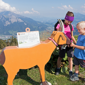 Heidipfad zur Alp Schwarzbüel