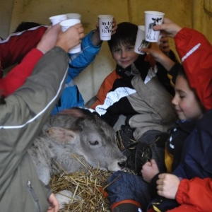(c) Berghof Rohr Kindergeburtstag auf dem Bauernhof Berghof in Rohr,