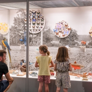 (c) Natur-Museum Luzern natur museum luzern ausflugstipp mamilade