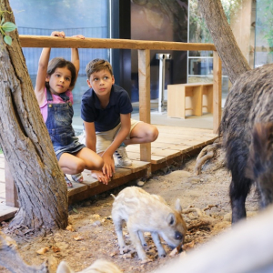 naturama aargau ausflugstipp mamilade