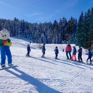 Skilift Brunni in Alpthal