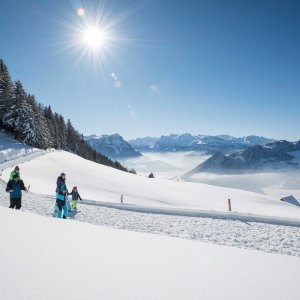 Schneesport in Sattel Hochstuckli