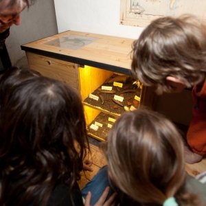 schloss lenzburg museum aargau ausflugstipp mamilade