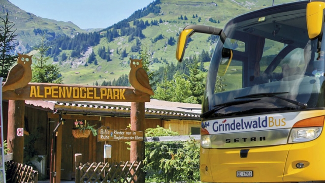 alpenvogelpark grindelwald ausflugstipp mamilade
