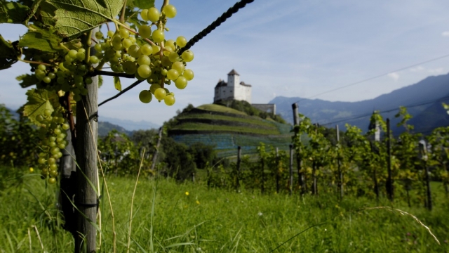 (c) Liechtenstein Marketing balzers leseweg ausflugstipp mamilade