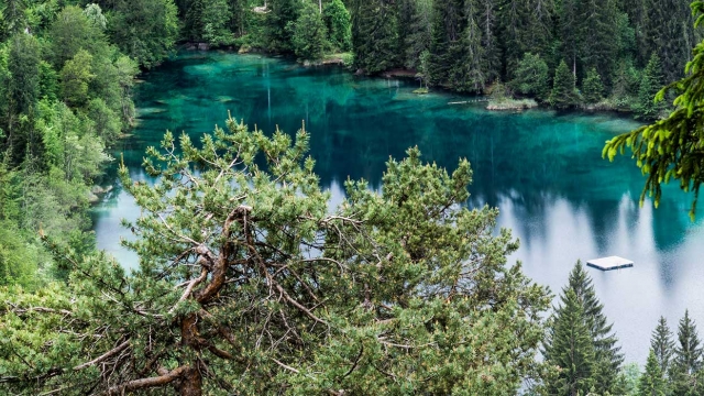 © Weisse Arena Gruppe 2019 Crestasee zwischen Trin und Flims