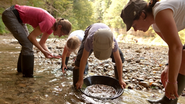 (c) Gold Prospector Goldwaschen im Napfgebiet