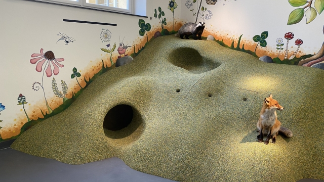 Kindermuseum im Naturmuseum Winterthur