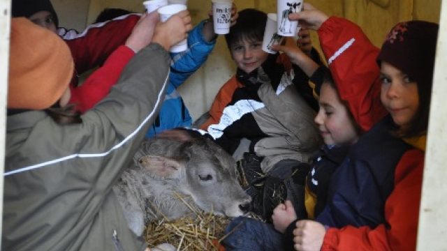 (c) Berghof Rohr Kindergeburtstag auf dem Bauernhof Berghof in Rohr,
