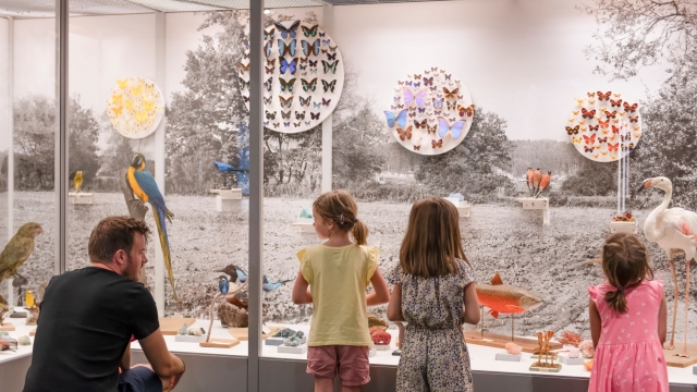natur museum luzern ausflugstipp mamilade