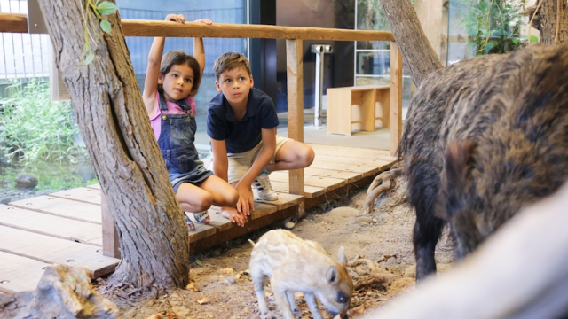 naturama aargau ausflugstipp mamilade