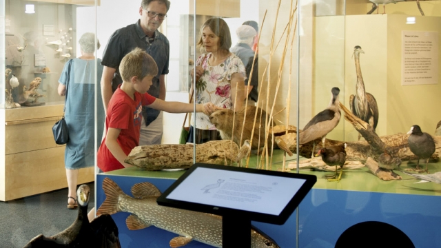(c) Naturmuseum Solothurn Naturmuseum Solothurn