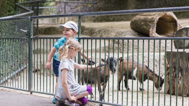 Kindergeburtstag im Zoo Basel