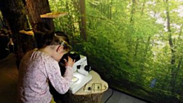 Naturzentrum Sihlwald Waldlehrpfad, copyright: Wildnispark Zürich Naturzentrum Sihlwald